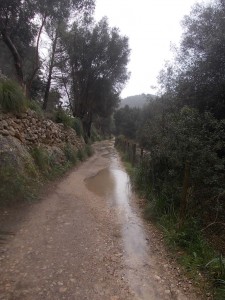 DSCN6783 (Medium)     